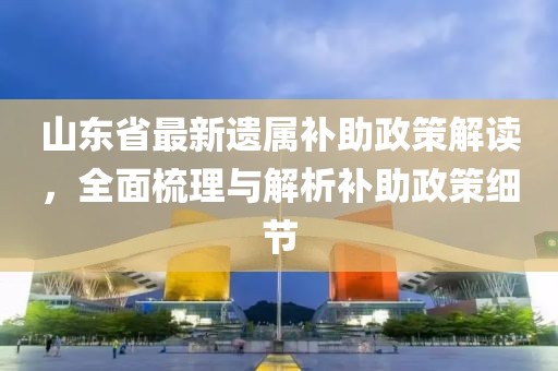 山东省最新遗属补助政策解读，全面梳理与解析补助政策细节