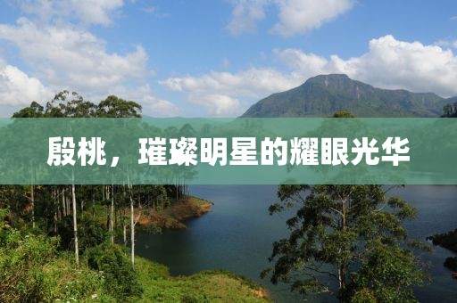 殷桃，璀璨明星的耀眼光华