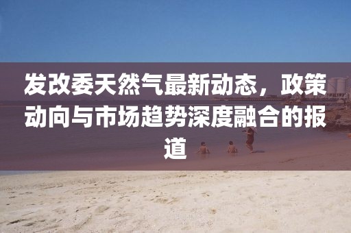 发改委天然气最新动态，政策动向与市场趋势深度融合的报道
