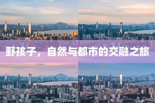 野孩子，自然与都市的交融之旅