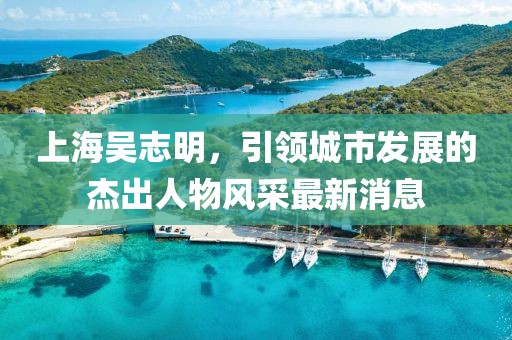 上海吴志明，引领城市发展的杰出人物风采最新消息