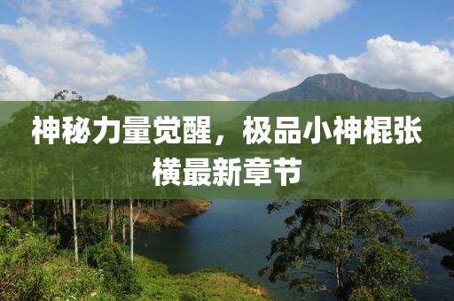 神秘力量觉醒，极品小神棍张横最新章节