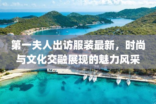 第一夫人出访服装最新，时尚与文化交融展现的魅力风采