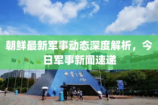 朝鲜最新军事动态深度解析，今日军事新闻速递