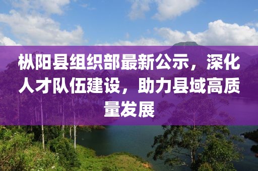 枞阳县组织部最新公示，深化人才队伍建设，助力县域高质量发展