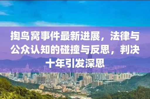 掏鸟窝事件最新进展，法律与公众认知的碰撞与反思，判决十年引发深思