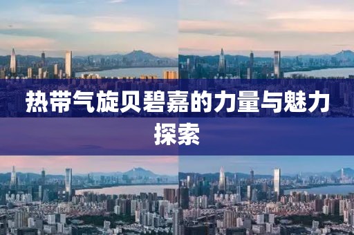 热带气旋贝碧嘉的力量与魅力探索