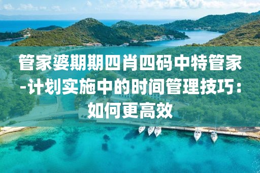 管家婆期期四肖四码中特管家-计划实施中的时间管理技巧：如何更高效