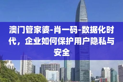 澳门管家婆-肖一码-数据化时代，企业如何保护用户隐私与安全