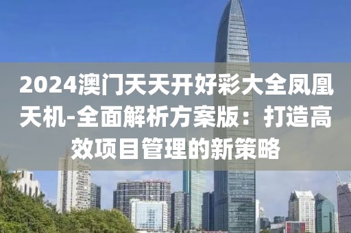 2024澳门天天开好彩大全凤凰天机-全面解析方案版：打造高效项目管理的新策略