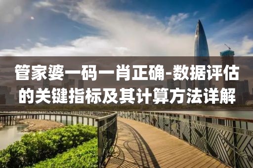 管家婆一码一肖正确-数据评估的关键指标及其计算方法详解