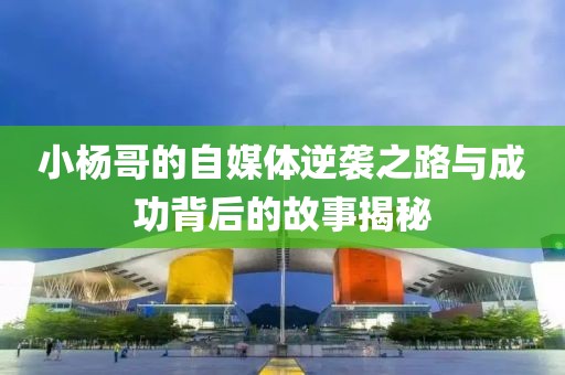 小杨哥的自媒体逆袭之路与成功背后的故事揭秘