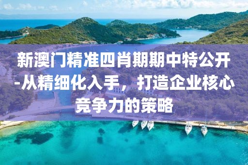 新澳门精准四肖期期中特公开-从精细化入手，打造企业核心竞争力的策略
