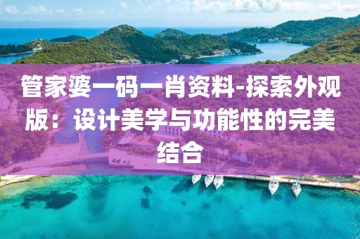管家婆一码一肖资料-探索外观版：设计美学与功能性的完美结合