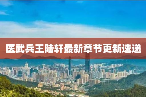 医武兵王陆轩最新章节更新速递