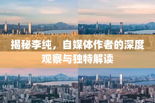 揭秘李纯，自媒体作者的深度观察与独特解读