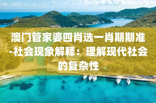 澳门管家婆四肖选一肖期期准-社会现象解释：理解现代社会的复杂性