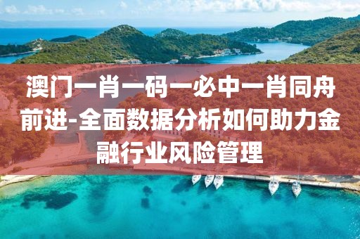 澳门一肖一码一必中一肖同舟前进-全面数据分析如何助力金融行业风险管理