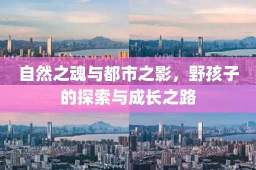 自然之魂与都市之影，野孩子的探索与成长之路