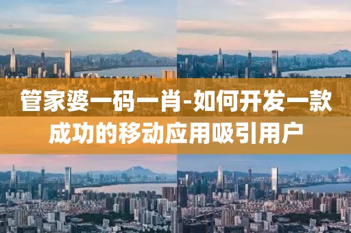 管家婆一码一肖-如何开发一款成功的移动应用吸引用户