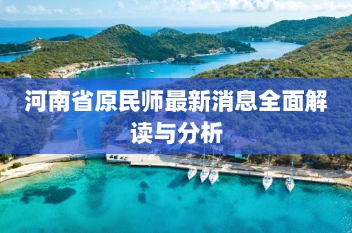 河南省原民师最新消息全面解读与分析