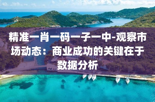 精准一肖一码一子一中-观察市场动态：商业成功的关键在于数据分析