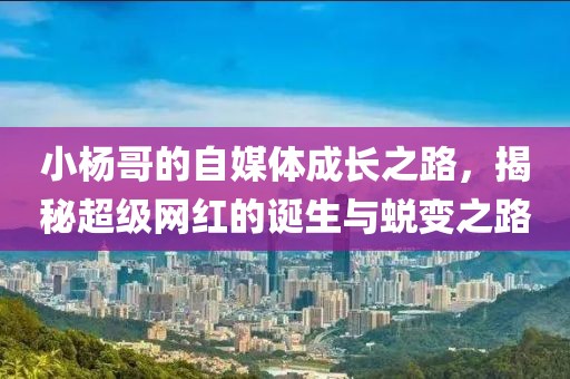 小杨哥