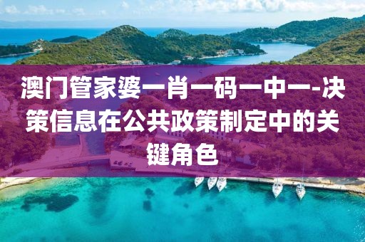 澳门管家婆一肖一码一中一-决策信息在公共政策制定中的关键角色
