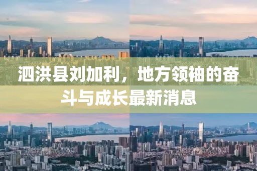 泗洪县刘加利，地方领袖的奋斗与成长最新消息