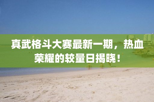 真武格斗大赛最新一期，热血荣耀的较量日揭晓！