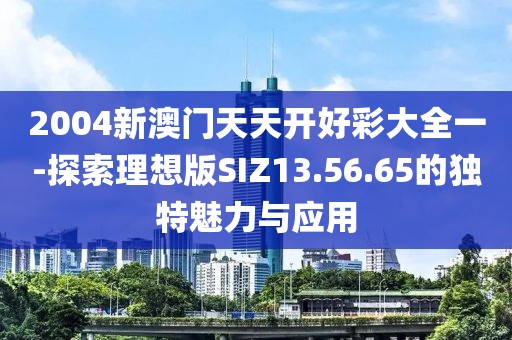 2004新澳门天天开好彩大全一-探索理想版SIZ13.56.65的独特魅力与应用