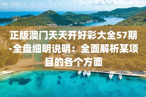 正版澳门天天开好彩大全57期-全盘细明说明：全面解析某项目的各个方面