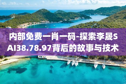 内部免费一肖一码-探索李晟SAI38.78.97背后的故事与技术