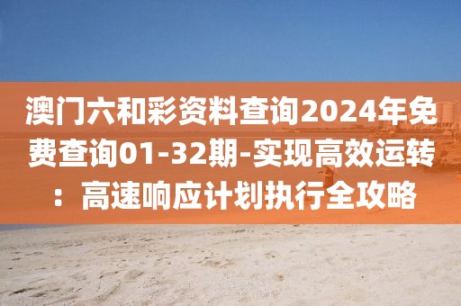 澳门六和彩资料查询2024年免费查询01-32期-实现高效运转：高速响应计划执行全攻略