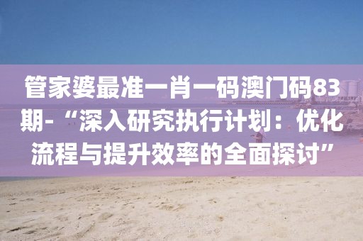 管家婆最准一肖一码澳门码83期-“深入研究执行计划：优化流程与提升效率的全面探讨”