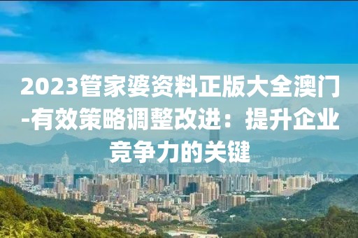 2023管家婆资料正版大全澳门-有效策略调整改进：提升企业竞争力的关键