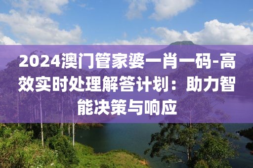 2024澳门管家婆一肖一码-高效实时处理解答计划：助力智能决策与响应