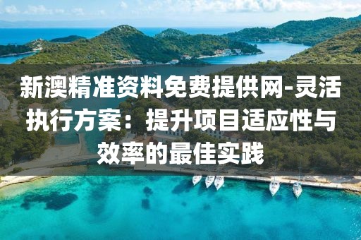 新澳精准资料免费提供网-灵活执行方案：提升项目适应性与效率的最佳实践