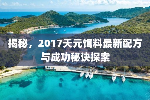 揭秘，2017天元饵料最新配方与成功秘诀探索