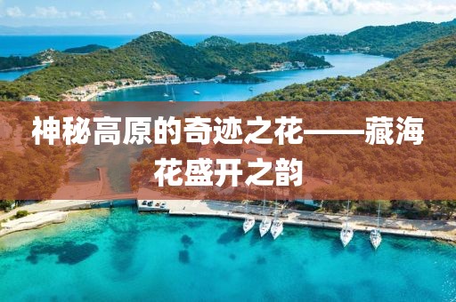神秘高原的奇迹之花——藏海花盛开之韵