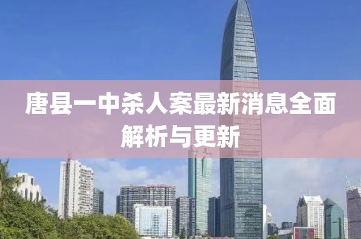 唐县一中杀人案最新消息全面解析与更新
