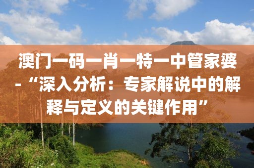 澳门一码一肖一特一中管家婆-“深入分析：专家解说中的解释与定义的关键作用”