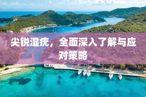 尖锐湿疣，全面深入了解与应对策略