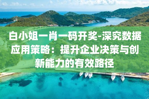 白小姐一肖一码开奖-深究数据应用策略：提升企业决策与创新能力的有效路径
