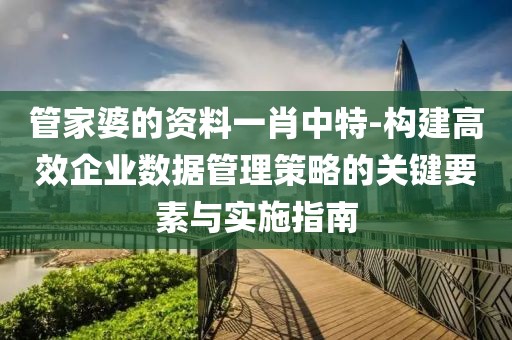 管家婆的资料一肖中特-构建高效企业数据管理策略的关键要素与实施指南