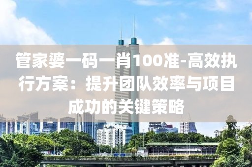 管家婆一码一肖100准-高效执行方案：提升团队效率与项目成功的关键策略