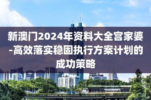 新澳门2024年资料大全宫家婆-高效落实稳固执行方案计划的成功策略