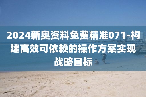 2024新奥资料免费精准071-构建高效可依赖的操作方案实现战略目标