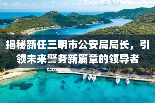 揭秘新任三明市公安局局长，引领未来警务新篇章的领导者