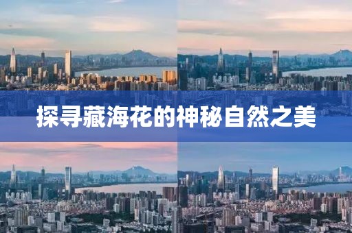 探寻藏海花的神秘自然之美